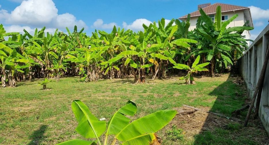 For sale land in Mueang Chiang Mai, Chiang Mai