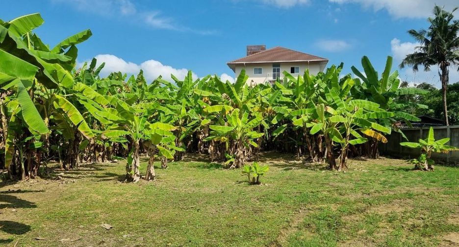 For sale land in Mueang Chiang Mai, Chiang Mai