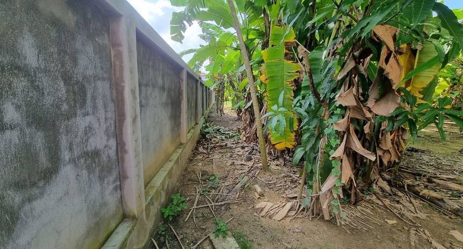 For sale land in Mueang Chiang Mai, Chiang Mai