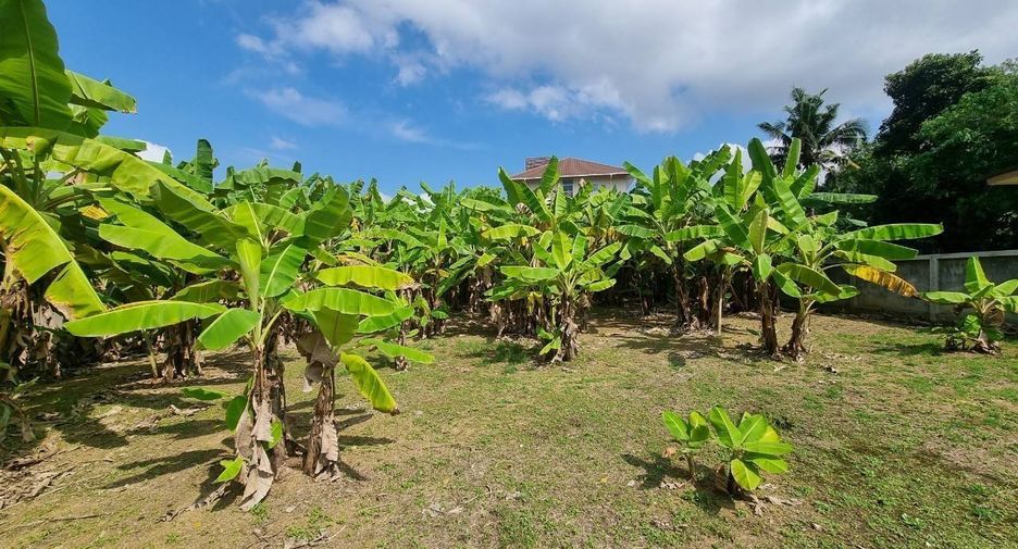 For sale land in Mueang Chiang Mai, Chiang Mai