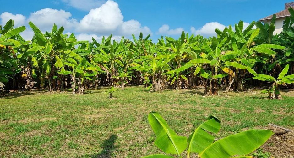 For sale land in Mueang Chiang Mai, Chiang Mai