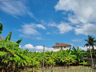 For sale land in Mueang Chiang Mai, Chiang Mai