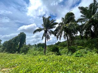 For sale land in Thai Mueang, Phang Nga