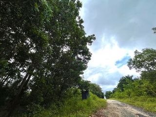 For sale land in Thai Mueang, Phang Nga