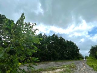 For sale land in Thai Mueang, Phang Nga