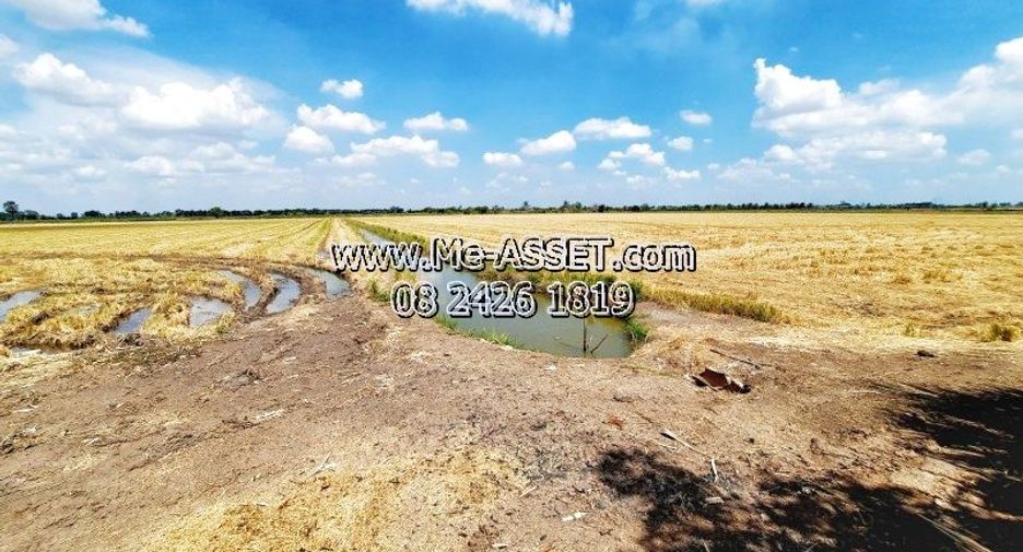 For sale land in Song Phi Nong, Suphan Buri