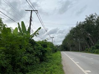 For sale land in Takua Thung, Phang Nga