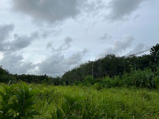For sale land in Takua Thung, Phang Nga