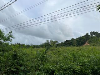 For sale land in Takua Thung, Phang Nga