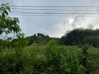 For sale land in Takua Thung, Phang Nga
