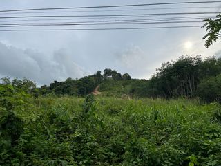 For sale land in Takua Thung, Phang Nga