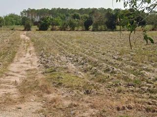 For rent land in Mueang Rayong, Rayong