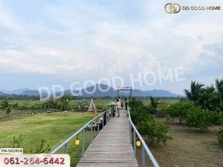 ขาย ที่ดิน ใน แม่พริก, ลำปาง