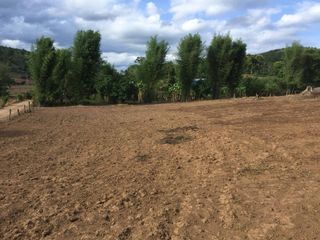 For sale land in Pai, Mae Hong Son