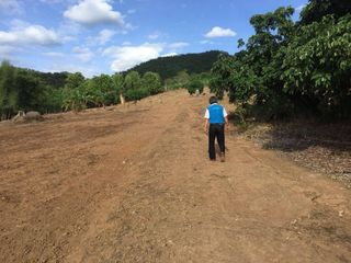 For sale land in Pai, Mae Hong Son