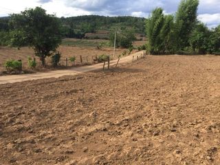 For sale land in Pai, Mae Hong Son