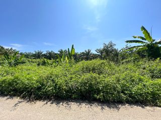 出售 土地 在 Mueang Krabi, Krabi