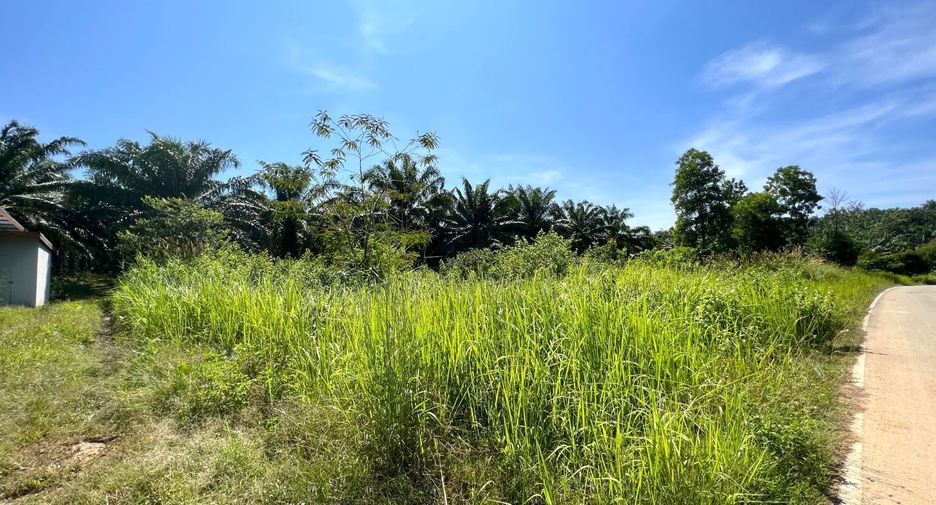Grundstück zum Kauf in Mueang Krabi, Krabi