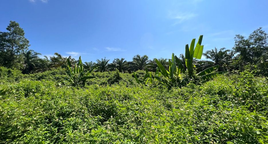 Grundstück zum Kauf in Mueang Krabi, Krabi