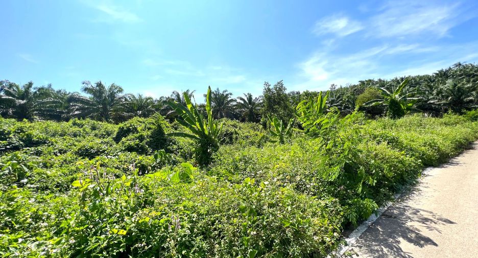 Grundstück zum Kauf in Mueang Krabi, Krabi