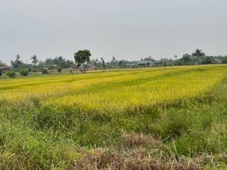 ขาย ที่ดิน ใน เมืองสุพรรณบุรี, สุพรรณบุรี