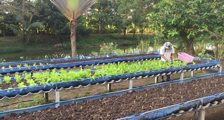 Grundstück zum Kauf in Tha Takiap, Chachoengsao