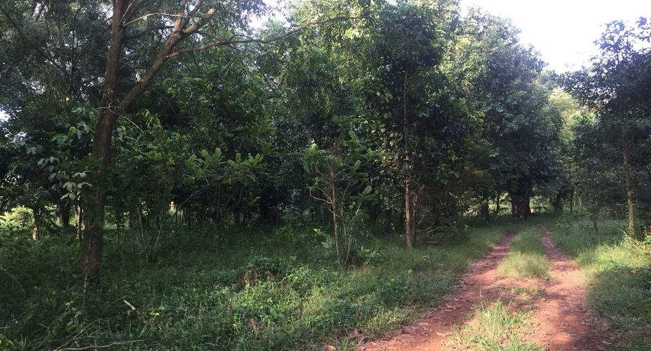 Grundstück zum Kauf in Tha Takiap, Chachoengsao