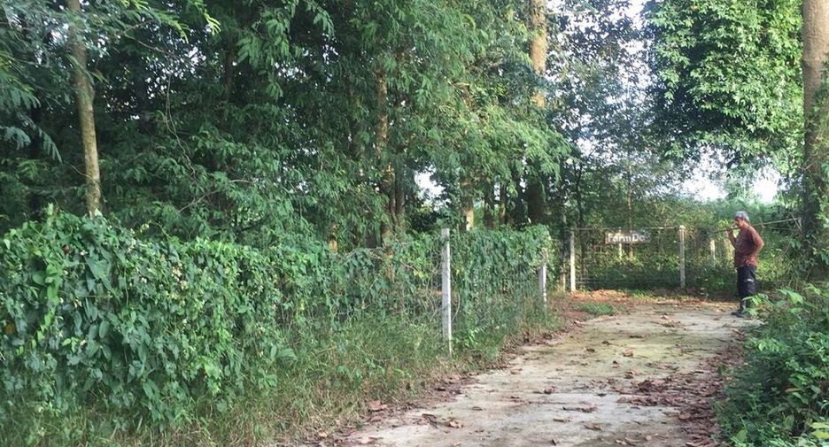 Grundstück zum Kauf in Tha Takiap, Chachoengsao