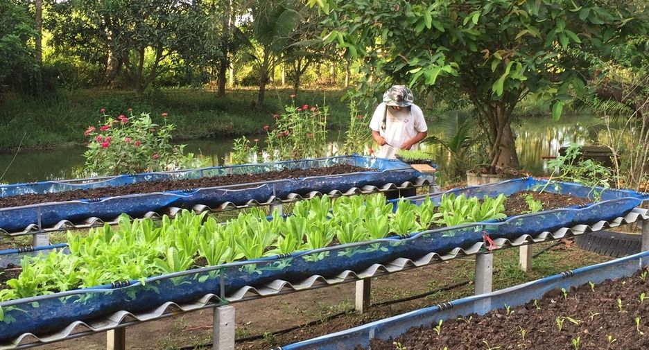 Grundstück zum Kauf in Tha Takiap, Chachoengsao
