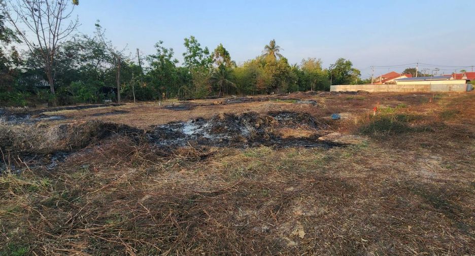 出售 土地 在 Mueang Chachoengsao, Chachoengsao