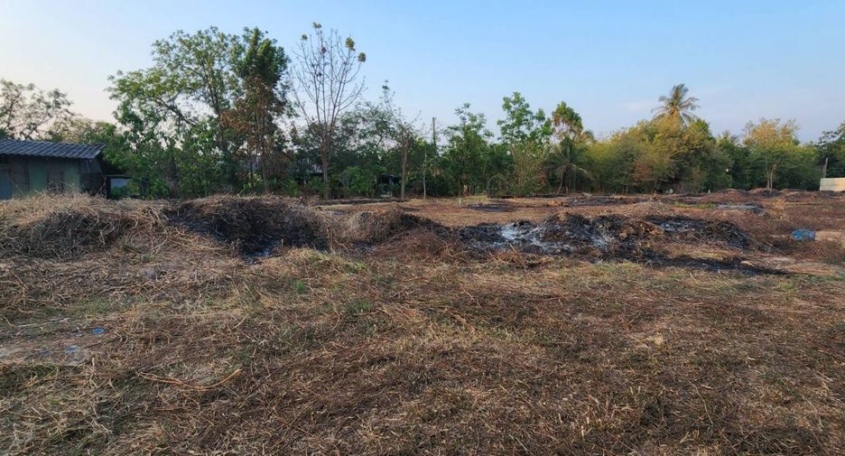 出售 土地 在 Mueang Chachoengsao, Chachoengsao