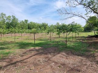 For sale land in Khlong Luang, Pathum Thani