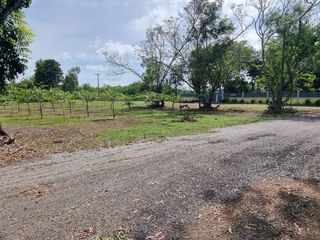 For sale land in Khlong Luang, Pathum Thani