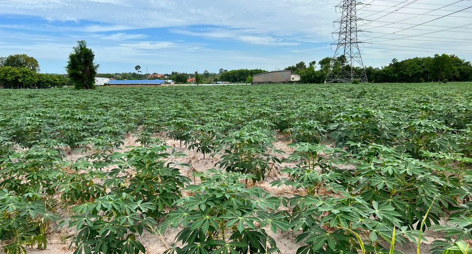 For sale land in Nikhom Phatthana, Rayong