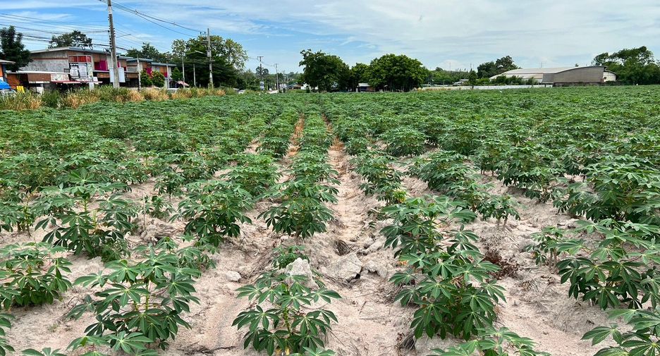 For sale land in Nikhom Phatthana, Rayong