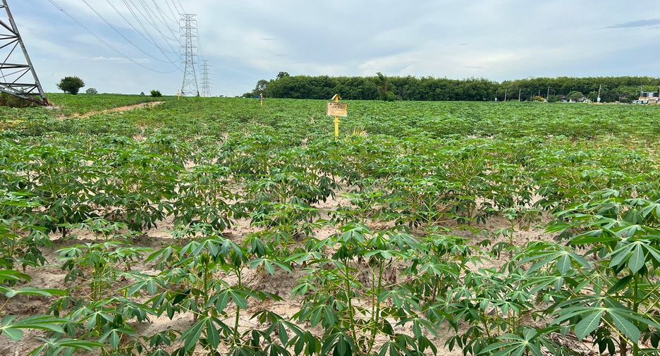 For sale land in Nikhom Phatthana, Rayong