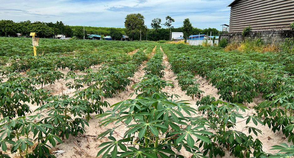 For sale land in Nikhom Phatthana, Rayong