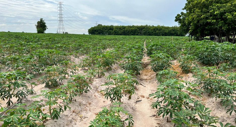 For sale land in Nikhom Phatthana, Rayong