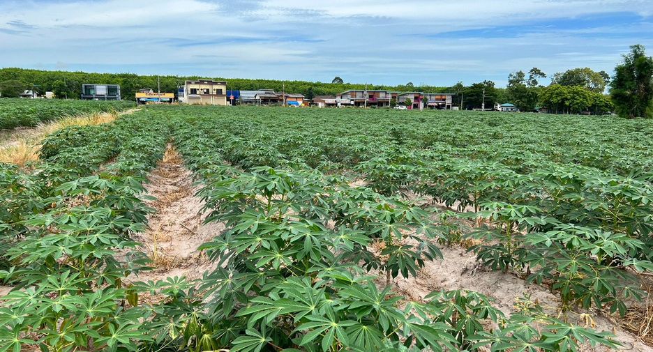 For sale land in Nikhom Phatthana, Rayong