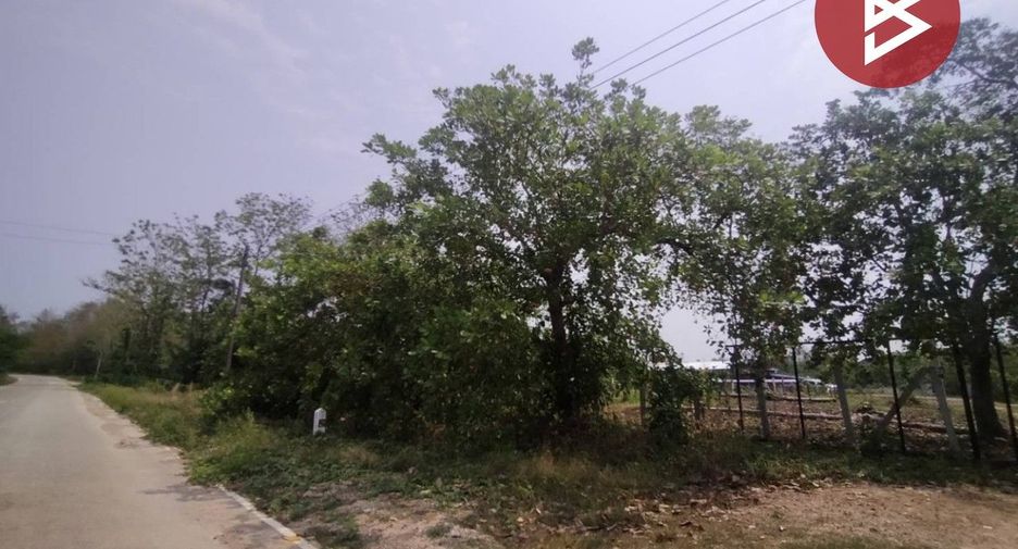 For sale land in Tha Pla, Uttaradit