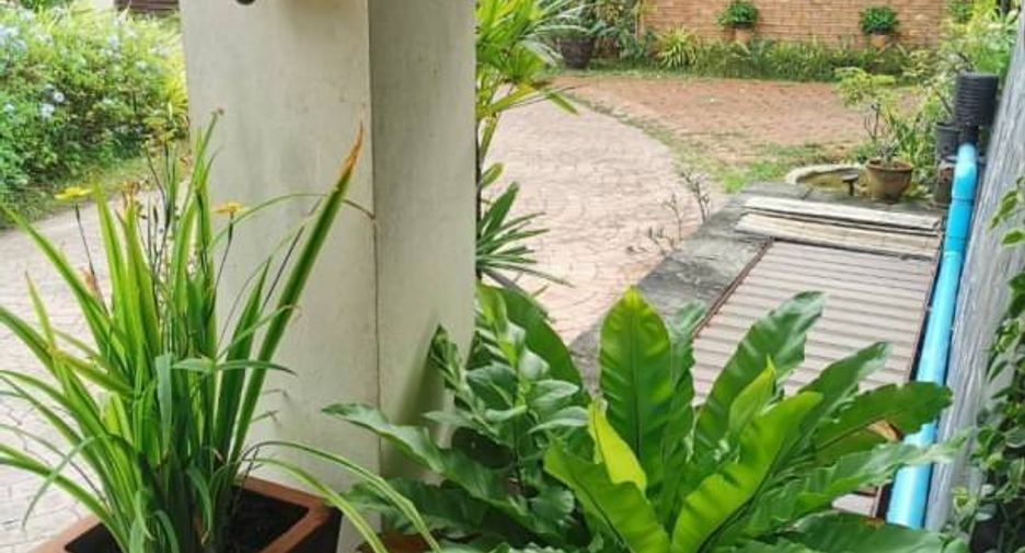 Haus zum Kauf mit 4 Zimmer in Mueang Lamphun, Lamphun