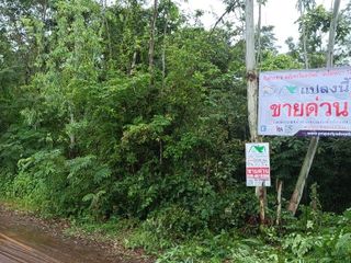 For sale studio land in Mueang Udon Thani, Udon Thani