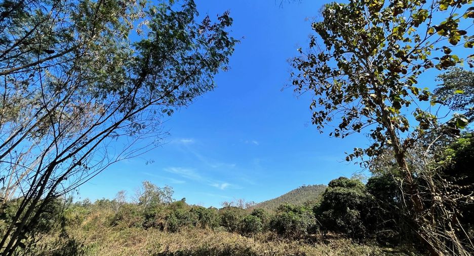 For sale land in Chiang Khan, Loei