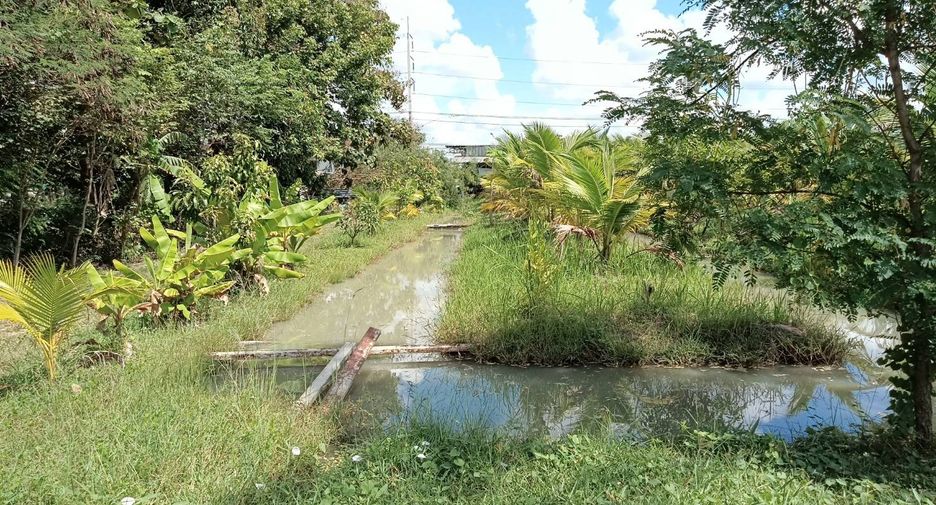 For sale 2 bed house in Prasat, Surin