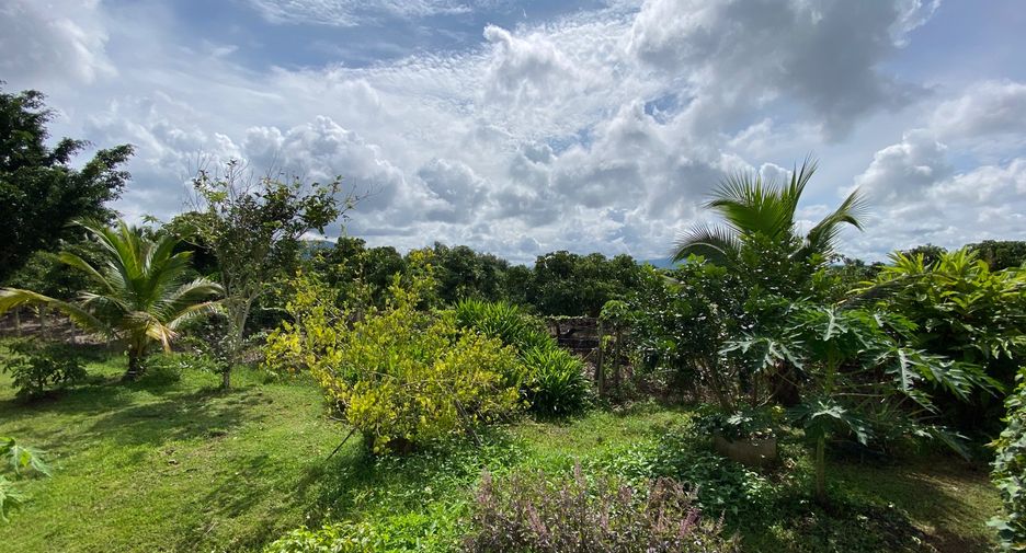 Casa en venta de 4 habitaciones en Mae Taeng, Chiang Mai