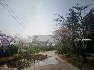 For sale land in Bang Bo, Samut Prakan