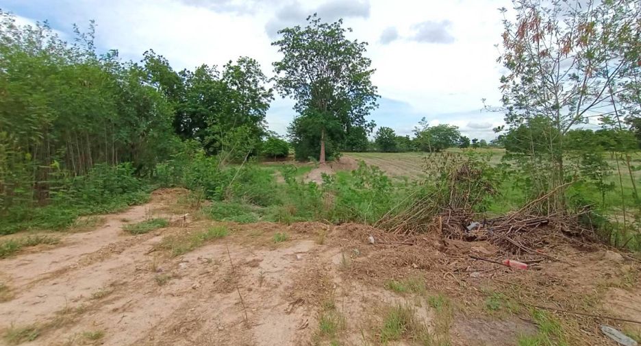 Grundstück zum Kauf in Banphot Phisai, Nakhon Sawan