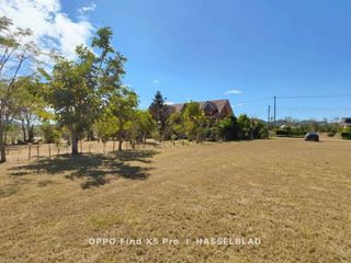 For sale land in Nong Phai, Phetchabun