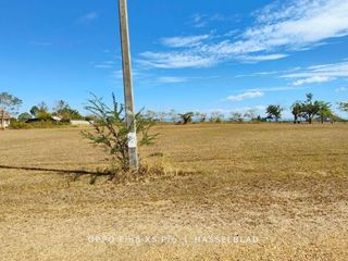 For sale land in Nong Phai, Phetchabun