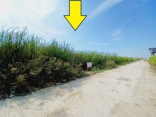 For sale land in Thanyaburi, Pathum Thani